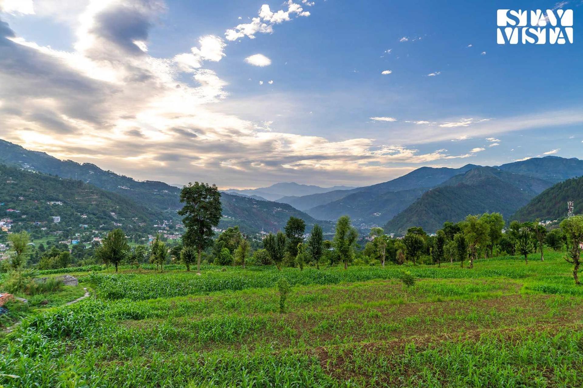 Stayvista At The Oakridge 4 Bhk Villa In Dharamshala With Jacuzzi & Balcony تشامبا المظهر الخارجي الصورة